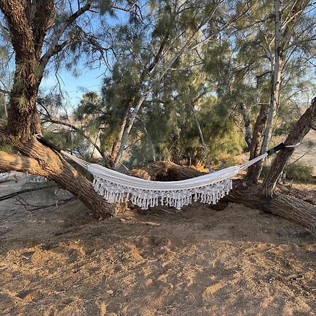 Casa Agave: Comfy Joshua Tree Cottage With Free Breakfast Bar Exteriör bild