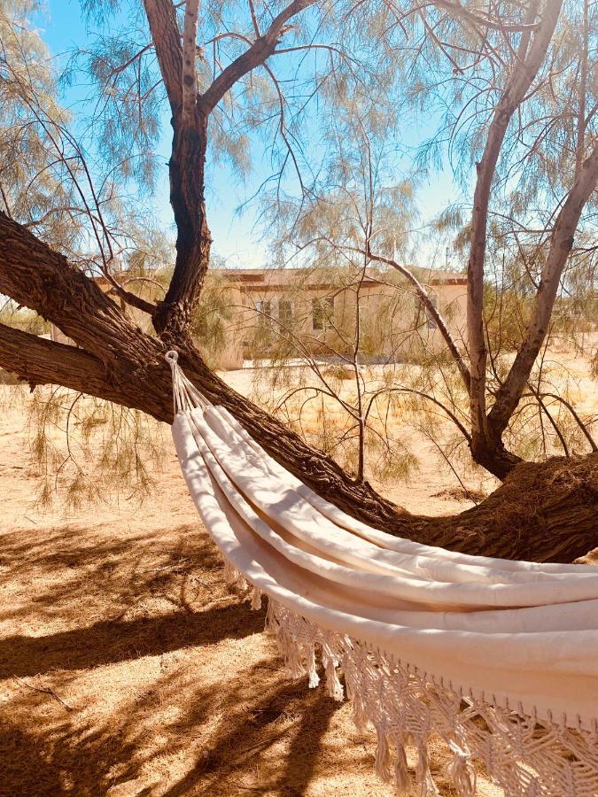 Casa Agave: Comfy Joshua Tree Cottage With Free Breakfast Bar Exteriör bild