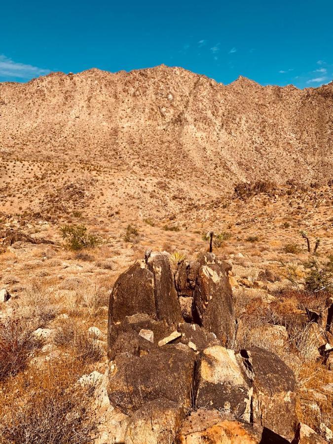 Casa Agave: Comfy Joshua Tree Cottage With Free Breakfast Bar Exteriör bild