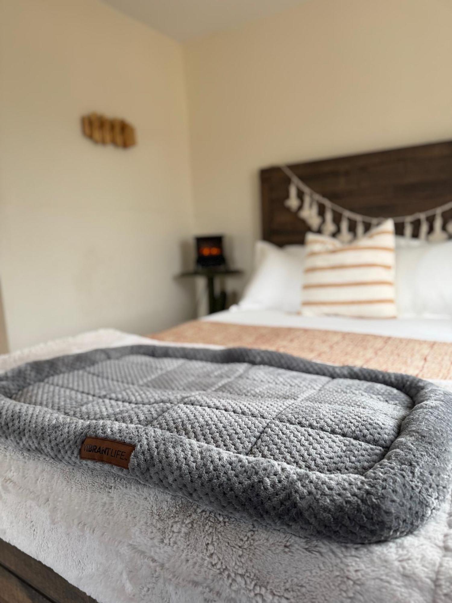 Casa Agave: Comfy Joshua Tree Cottage With Free Breakfast Bar Exteriör bild