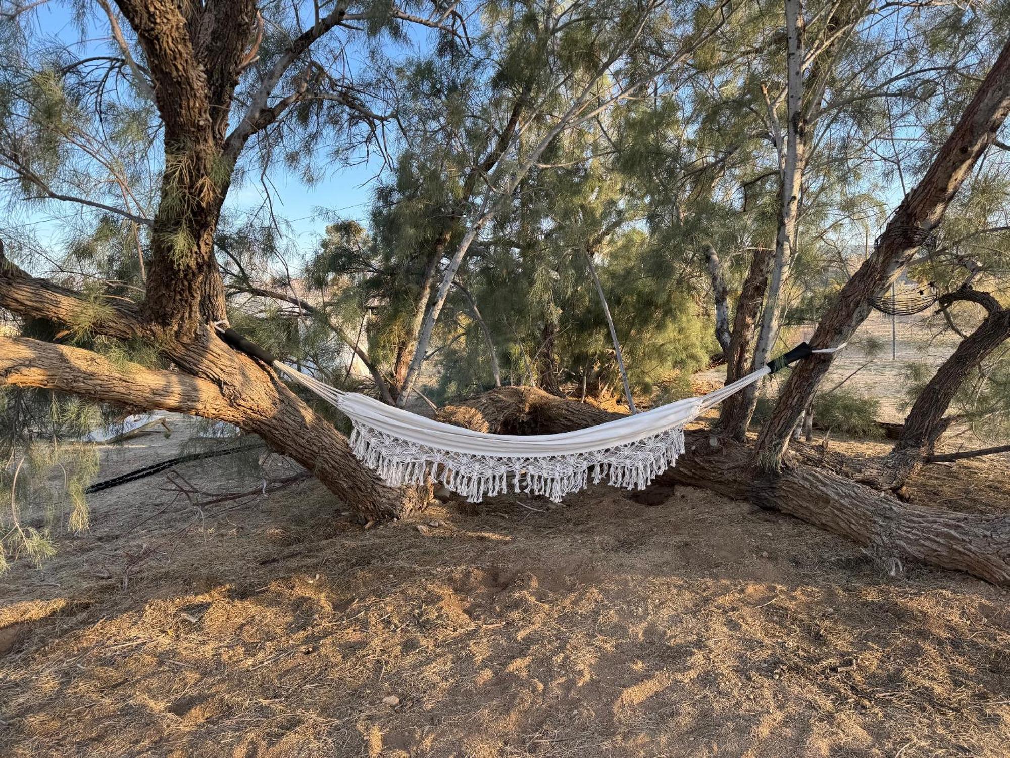 Casa Agave: Comfy Joshua Tree Cottage With Free Breakfast Bar Exteriör bild
